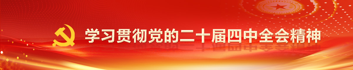 学习贯彻党的二十届四中全会精神