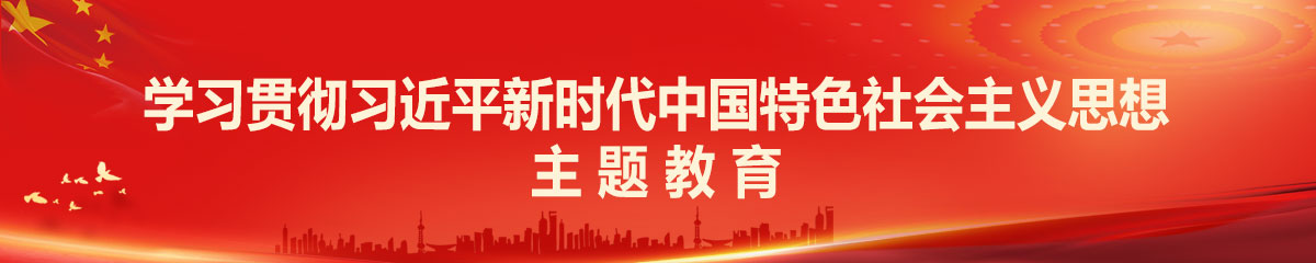 学习贯彻习近平新时代中国特色社会主义思想主题教育