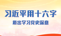 习近平用十六字 道出学习党史深意