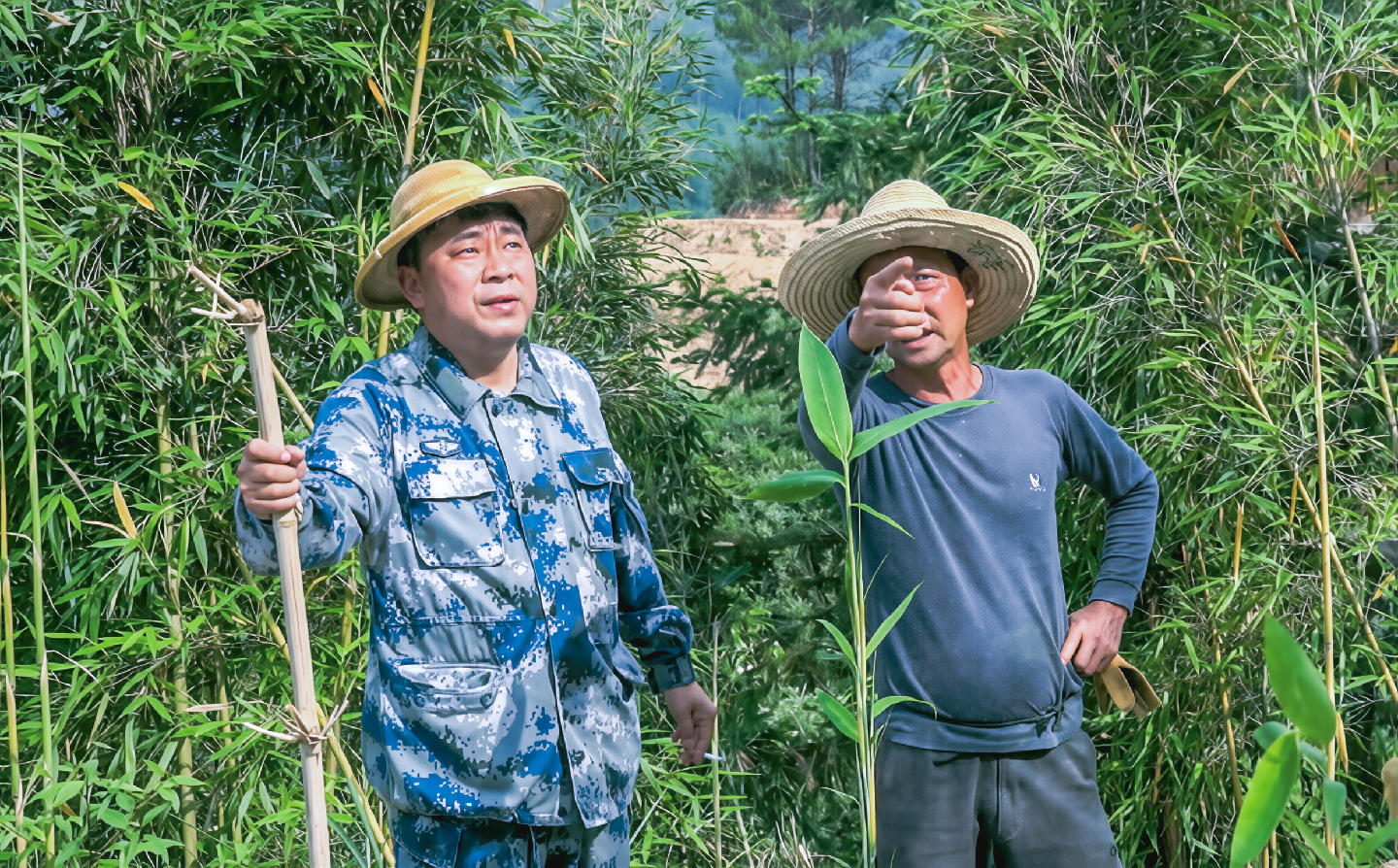 林上斗：退休旅长的乡村画卷