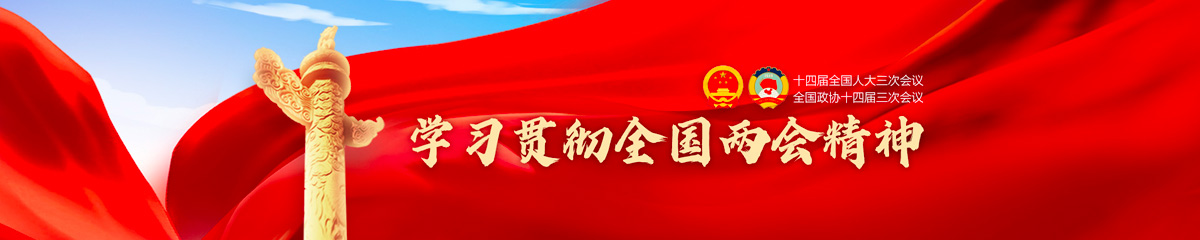 学习贯彻2025全国两会精神