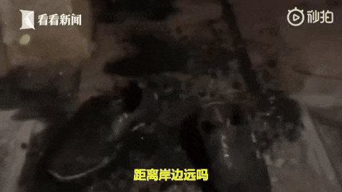 03.gif