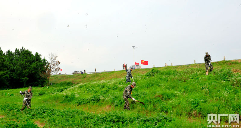 03.jpg