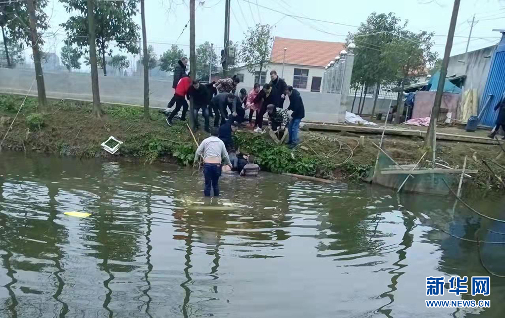 1.jpg 1.jpg