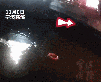 11134.gif
