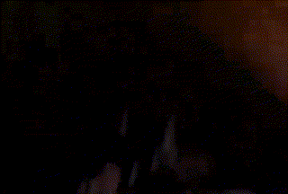 11133.gif