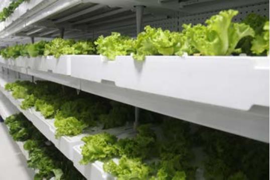 20210716161713.jpg 20210716161713.jpg