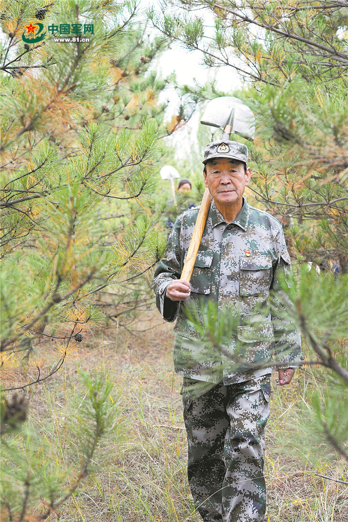 塞北荒山,老兵播种"绿色梦"——军队退休干部张连印坚